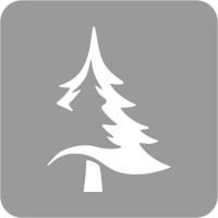 Boże Narodzenie - Szablon do tatuażu brokatowego