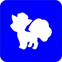 Pokemon - Szablon do tatuażu brokatowego