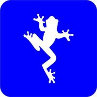 Żaba - Szablon do tatuażu brokatowego