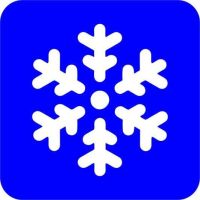 Śnieżynka - Szablon do tatuażu brokatowego