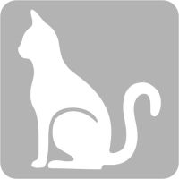 Kot - Szablon do tatuażu brokatowego