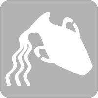 Znak Zodiaku - Wodnik - Szablon do tatuażu brokatowego