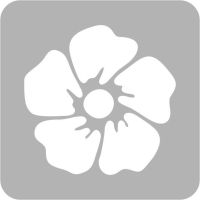 Kwiatek - Szablon do tatuażu brokatowego