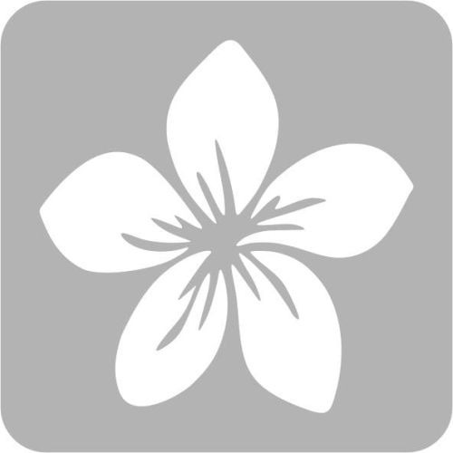 5db6feb109a328fb52419c33f5707056