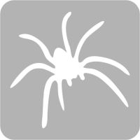 Pająk - Szablon do tatuażu brokatowego