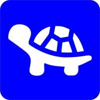Żółw - Szablon do tatuażu brokatowego