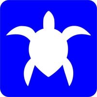 Szablon do tatuażu brokatowego - Żółw
