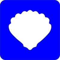 Szablon do tatuażu brokatowego - Muszla