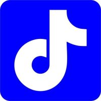 Szablon do tatuażu brokatowego - Tik Tok