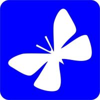 Szablon do tatuażu brokatowego - Motyl