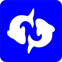 Szablon do tatuażu brokatowego - Znak Zodiaku, Ryby